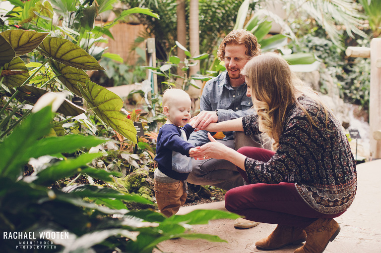 Denver family with mom dad and baby boy at Denver Botanic Gardens for a family photo shoot and wearing a Wildbird ring sling