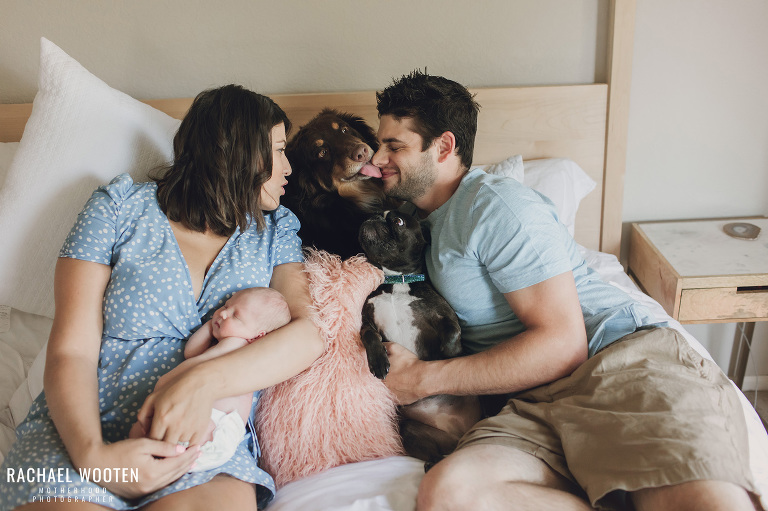 Denver newborn photo session at home with mom, dad, and dogs.